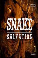 Watch Snake Salvation M4uhd