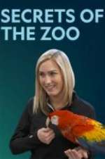 Watch Secrets of the Zoo M4uhd