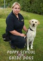 Watch Puppy School for Guide Dogs M4uhd