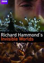 Watch Richard Hammond's Invisible Worlds M4uhd