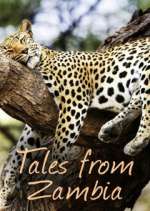 Watch Tales from Zambia M4uhd
