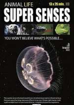 Watch Super Senses M4uhd