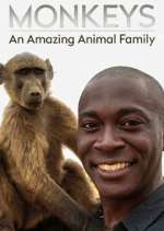 Watch Monkeys: An Amazing Animal Family M4uhd