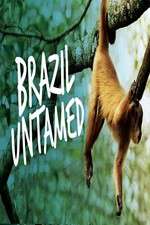 Watch Brazil Untamed M4uhd