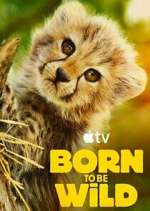 Watch Born to Be Wild M4uhd