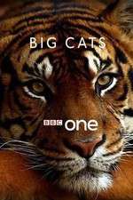 Watch Big Cats M4uhd