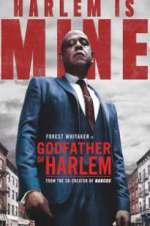 Watch Godfather of Harlem M4uhd