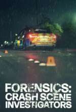 Watch Forensics: Crash Scene Investigators M4uhd