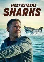 Watch Most Extreme Sharks M4uhd