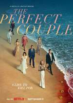 Watch The Perfect Couple M4uhd