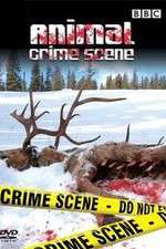 Watch Animal Crime Scene M4uhd