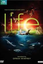 Watch Life M4uhd