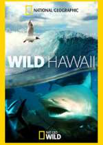 Watch Wild Hawaii M4uhd
