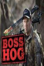 Watch Boss Hog M4uhd