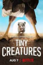 Watch Tiny Creatures M4uhd