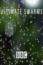 Watch Ultimate Swarms M4uhd