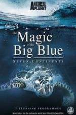 Watch The Magic of the Big Blue M4uhd