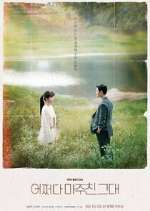 Watch Met You By Chance M4uhd