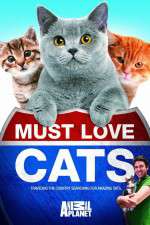 Watch Must Love Cats M4uhd