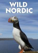 Watch Wild Nordic M4uhd
