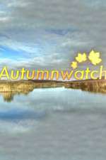 Watch Autumnwatch M4uhd