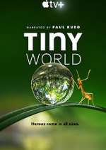 Watch Tiny World M4uhd