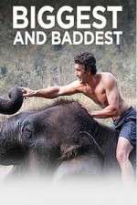 Watch Biggest and Baddest M4uhd