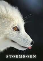 Watch Stormborn M4uhd