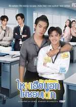 Watch My Stubborn M4uhd