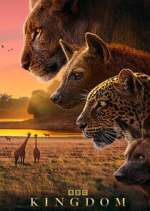 Watch Kingdom M4uhd