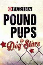 Watch Purina Pound Pups To Dog Stars M4uhd