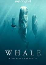 Watch Whale with Steve Backshall M4uhd