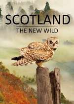 Watch Scotland - The New Wild M4uhd