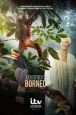 Watch Judi Dench\'s Wild Borneo Adventure M4uhd