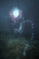 Watch Into the Universe with Stephen Hawking M4uhd