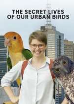Watch The Secret Lives of Our Urban Birds M4uhd