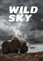 Watch Wild Sky M4uhd