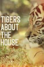 Watch Tigers About the House M4uhd