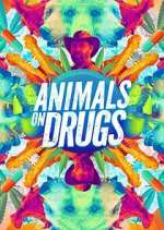 Watch Animals on Drugs M4uhd