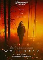 Watch Wolf Pack M4uhd