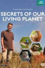 Watch Secrets of Our Living Planet M4uhd