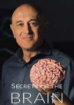 Watch Secrets of the Brain M4uhd