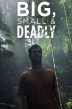 Watch Big, Small & Deadly M4uhd