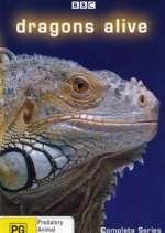 Watch Dragons Alive M4uhd