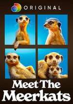 Watch Meet the Meerkats M4uhd
