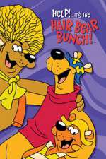 Watch Help!... It's the Hair Bear Bunch M4uhd