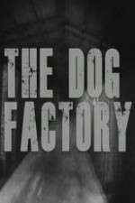 Watch The Dog Factory M4uhd