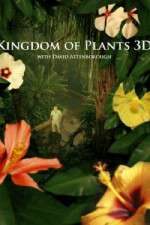 Watch Kingdom of Plants 3D M4uhd