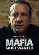 Watch Mafia: Most Wanted M4uhd