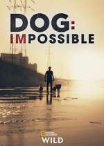 Watch Dog: Impossible M4uhd